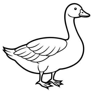 Elegant Snow Goose Vector in Monochrome