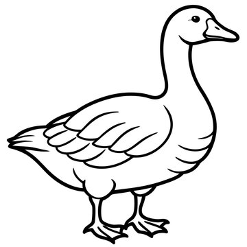 Elegant Snow Goose Vector in Monochrome