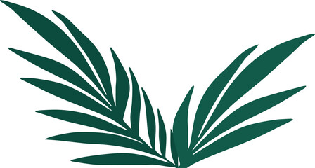 Poster - Pair of stylized dark green palm fronds are emerging in flat vector with transparent background