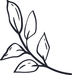 Poster - Minimalist line art showing branch with five elongated leaves and veins on transparent background