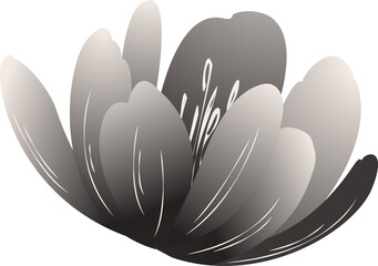 Poster - Stylized flower is blooming in flat design, gradient petals on transparent background, copy space