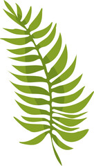 Poster - Stylized fern frond is being shown in flat vector design with transparent background