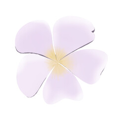 Poster - Five-petaled flower is being shown flat with pastel petals, yellow core on transparent background