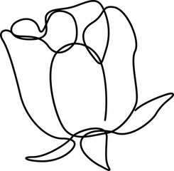 Poster - Stylized line art tulip is showing overlapping curved petals  and  two leaves on transparent backgro