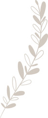 Poster - Botanical branch is being shown in flat design with curved vine, oval leaves on transparent backing