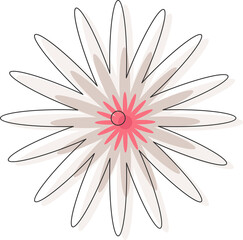 Poster - Flat vector flower motif is radiating layers of off-white and pink petals on transparent background