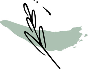 Poster - Abstract leafy branch is floating in line art over pale green brushstroke, transparent background