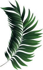Poster - Tropical palm leaf frond is being shown in 3D style with gradient shading on transparent background