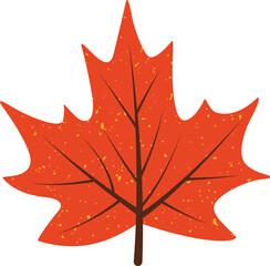Poster - Maple leaf is being shown in vector design, brown-veined yellow-speckled on transparent background