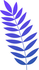 Poster - Stylized pinnate leaf is showing blue-purple leaflets in flat vector, on transparent background