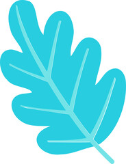Poster - Abstract turquoise oak leaf shape is floating on transparent background in flat design