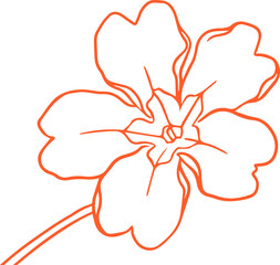 Poster - Flower is being shown on transparent background with stylized orange line art of stem and petals
