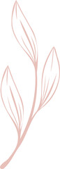 Poster - Stylized plant branch is being displayed in minimalist pastel pink line art, transparent background