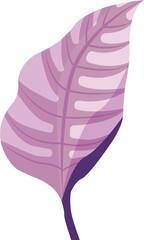 Poster - Flat vector pink-purple leaf is displaying central vein and oval markings on transparent background