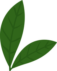 Poster - Stylized cluster of three green leaves is being shown in flat design, with transparent background
