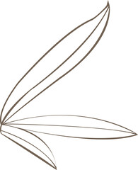 Poster - Brown leaf outlines are fanning in flat style on transparent background, abstract motif, copy space