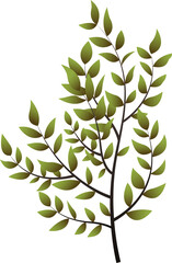 Poster - Slender brown plant stem is branching into green leaves in 3D render with transparent background