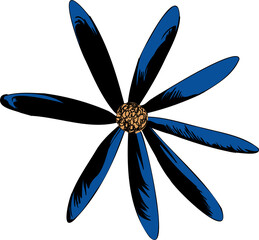 Poster - Vector flower showing nine blue or black petals radiating from golden center, transparent background