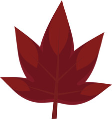 Poster - Stylized deep red leaf is being shown on transparent background, flat design with vein details