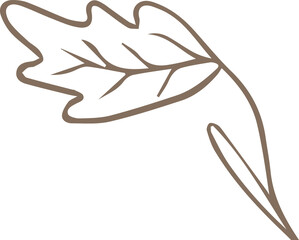 Poster - Showing stylized leaf line-art colored light brown, curved stem and veins on transparent background