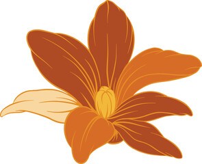 Poster - Orange brown flower is showing flat design petals radiating from yellow bud, transparent background