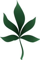 Poster - Stylized green palmate leaf is floating on transparent background, featuring smooth gradient design