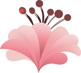 Poster - Flower-inspired vector art is unfolding with pink petals and red stamen on transparent background