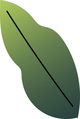 Poster - abstract green leaf shape is floating in flat design with black diagonal vein on transparent canvas