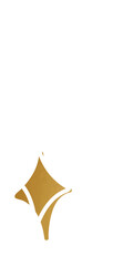 Poster - Flat sparkle shapes are floating on clear bg with 8-point stars gold-filled diamond white circle