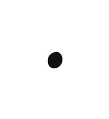 Poster - Stylized daisy in flat design is showing ten white petals, black disk on transparent background