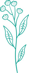 Poster - Botanical stem is being shown in line art, teal blossoms, leaves, transparent backdrop, copy space