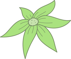 Poster - Stylized five-petal green flower is radiating in flat style showing veins on transparent background