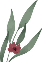 Poster - Plant branch is showing green leaves, red flower in flat style, transparent background, copy space
