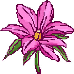 Poster - Pixel art pink flower is being shown on transparent canvas, with yellow center and green leaves