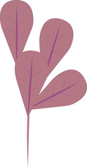 Poster - Pink botanical branch is showing four ovate leaves with dark veins, vector, transparent background