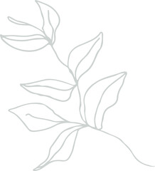 Poster - Showing minimalist continuous white line art branch with elongated leaves on transparent background