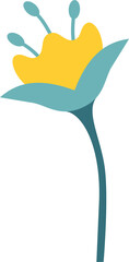 Poster - Stylized bloom is being shown in flat vector with yellow corolla teal leaves transparent background