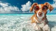 © NK - Dog in sunglasses relaxing in clear ocean water under a bright blue sky