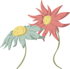 Poster - Two stylized daisies are showing flat design with yellow discs green stems on transparent backdrop