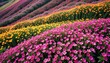 © Athiphat - top view of a colorful flower meadow in full bloom, with natural patterns of pink, yellow