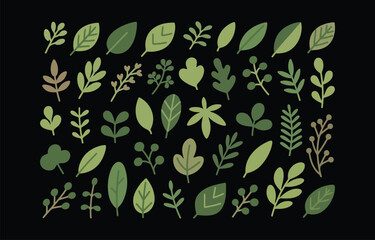 Poster - Collection of diverse green leaves and branches for design projects
