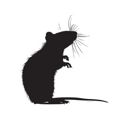 Wall Mural - Rats silhouette isolated in White background