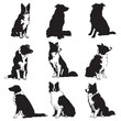 © Fouzia - border collie dog silhouette set, Black & White silhouette set