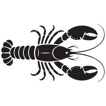 vector illustration of a lobster. illustration eps 10