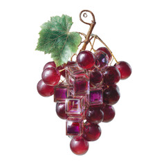 Poster - Conceptual Grapes: A Fusion of Natural Form and Geometric Abstraction