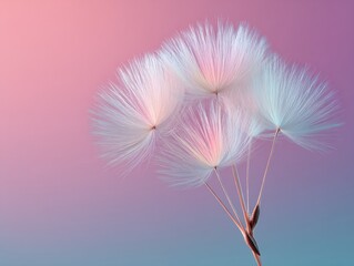 Aufkleber - Macro of Delicate Dandelion Seeds in Soft Pastel Light Symbolizing Innovation and Organic Growth for Trend Forecasting and Marketing