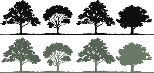 Poster - Silhouetted and flat designed trees in black and green for nature illustrations and designs