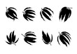 © Sabiqul - Silhouette tropical leaf design elements set isolated