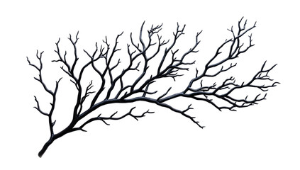 Dark, intricate branch structure