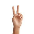 © 69 - Hand Gesture with Two Fingers Raised Signifying Victory, Peace, or Celebration on a Transparent Background Transparent background or png